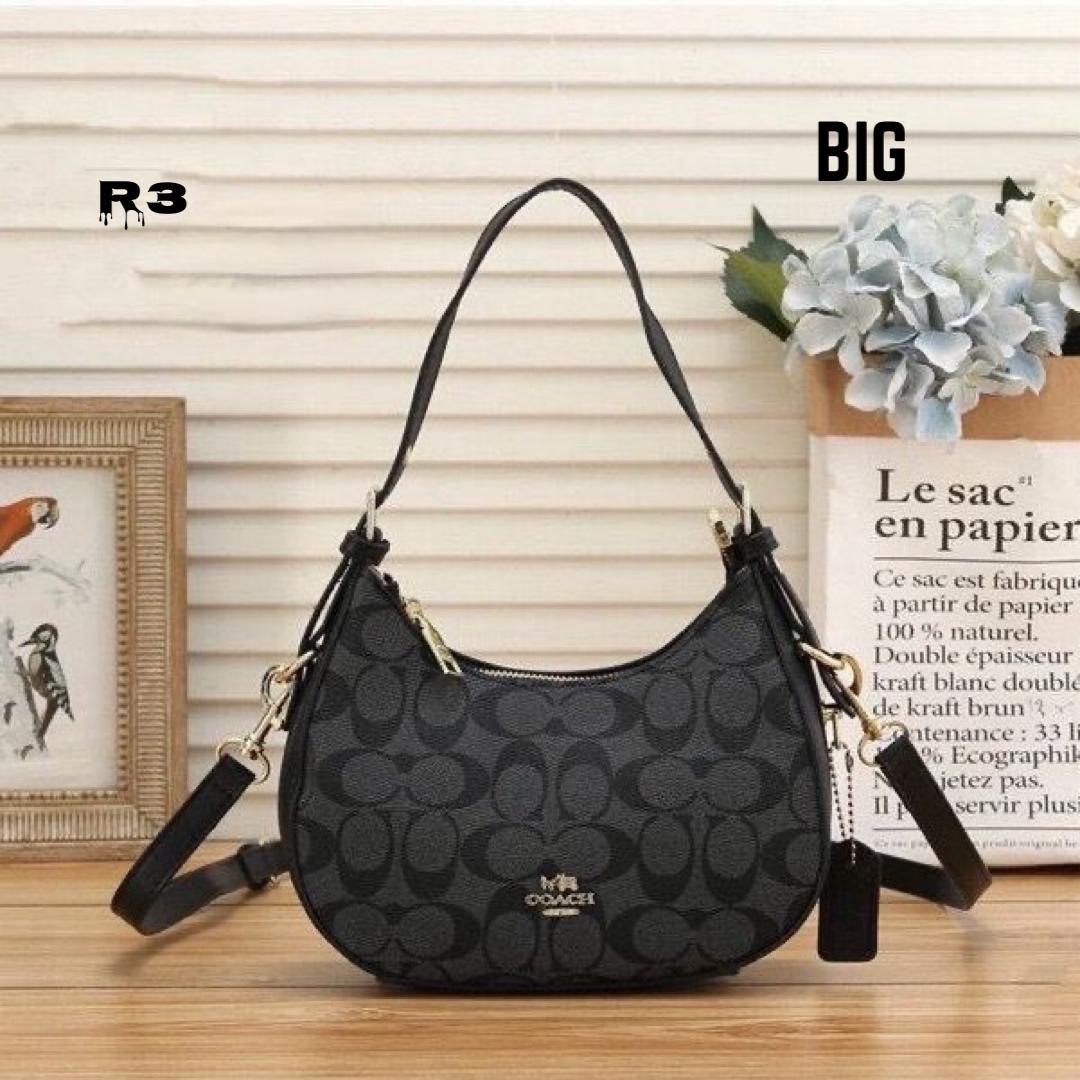 Coach Signature Print Hobo Bag First Copy