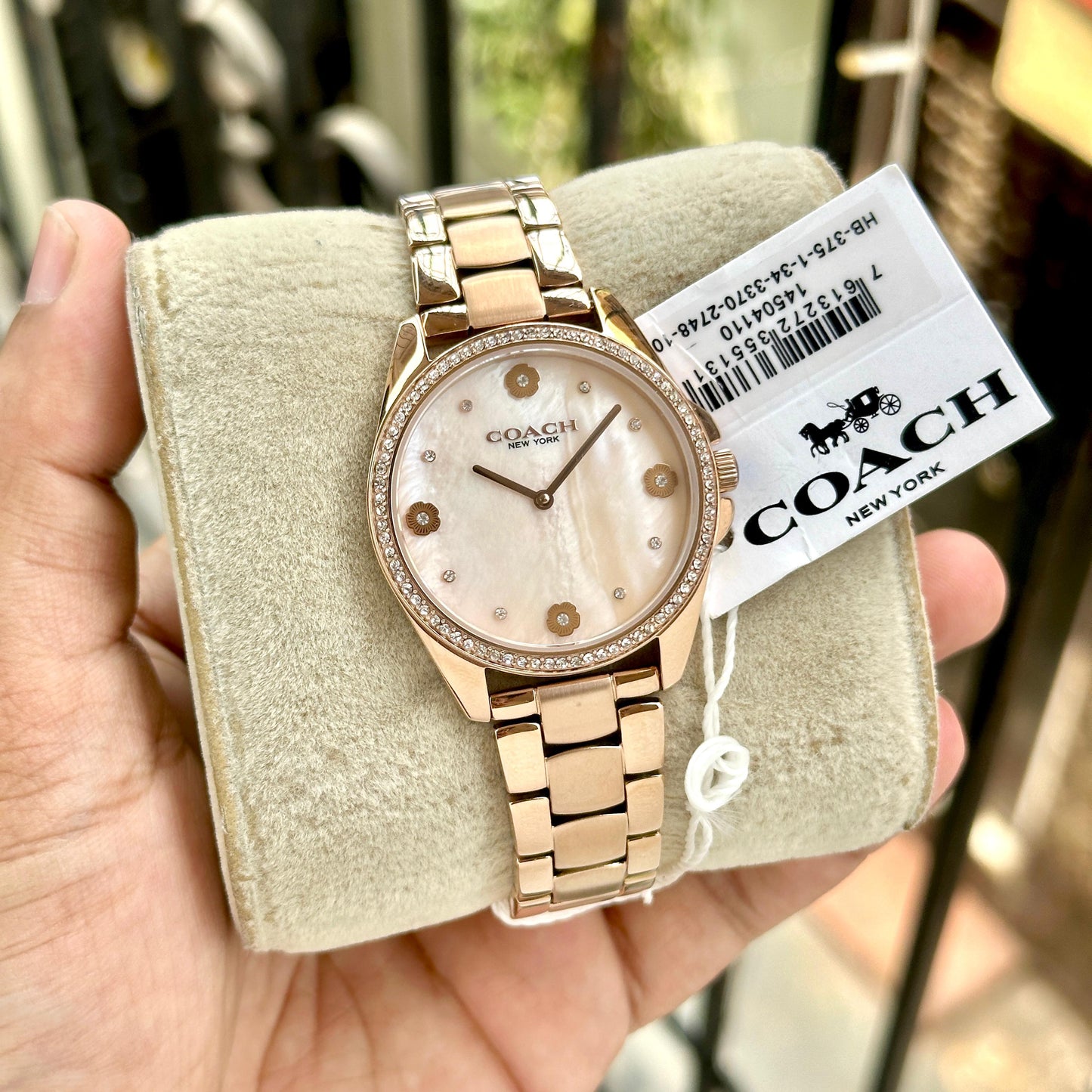 Coach-6437