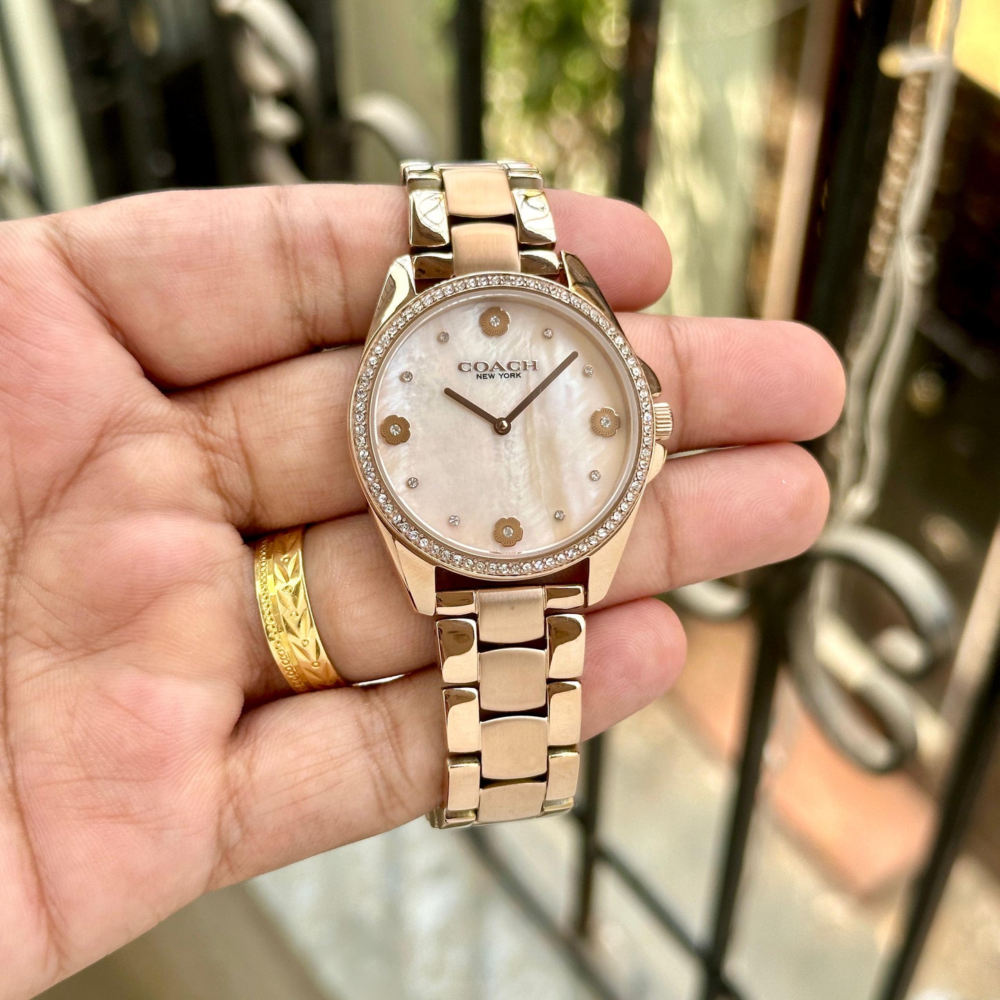Coach-6437