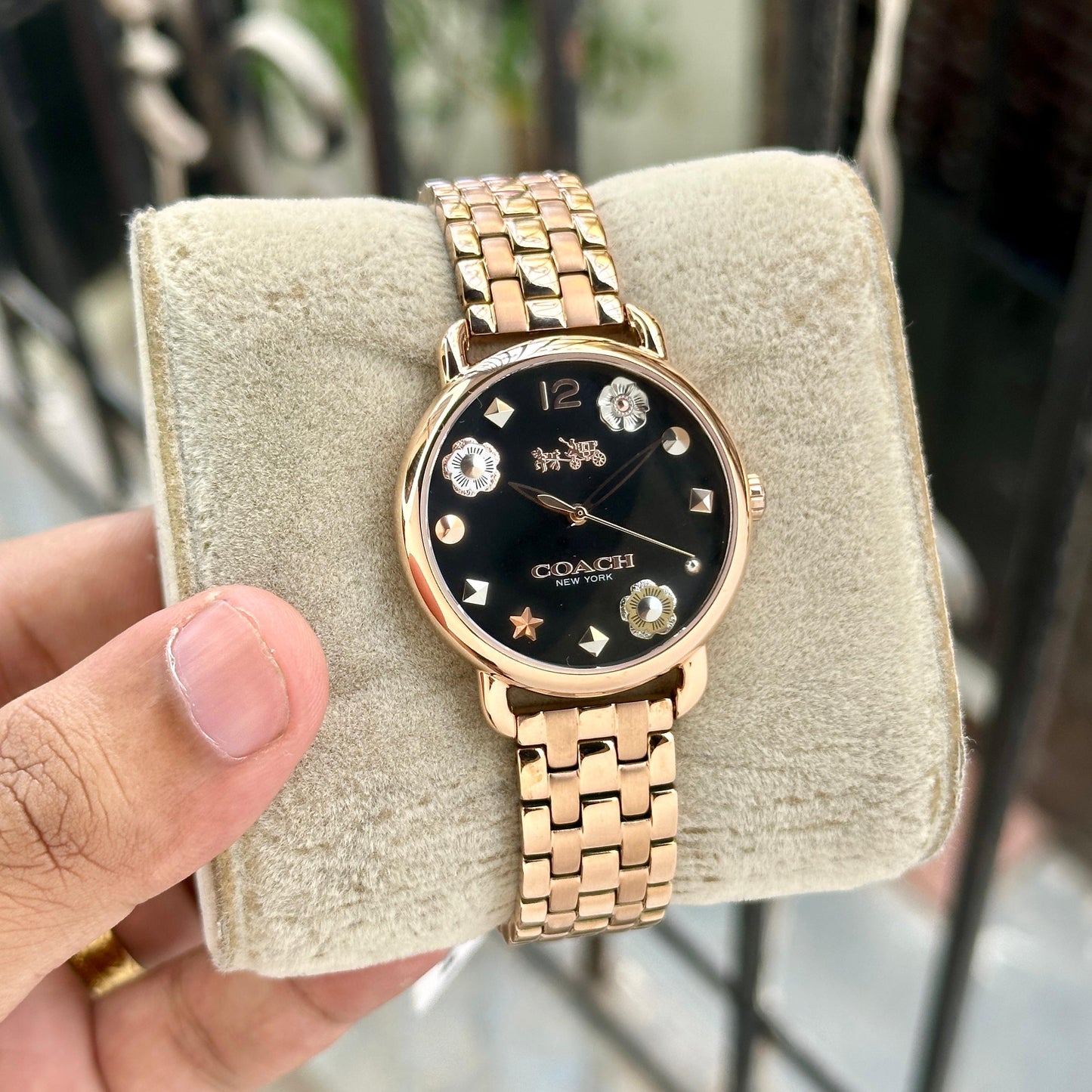 Coach-6165